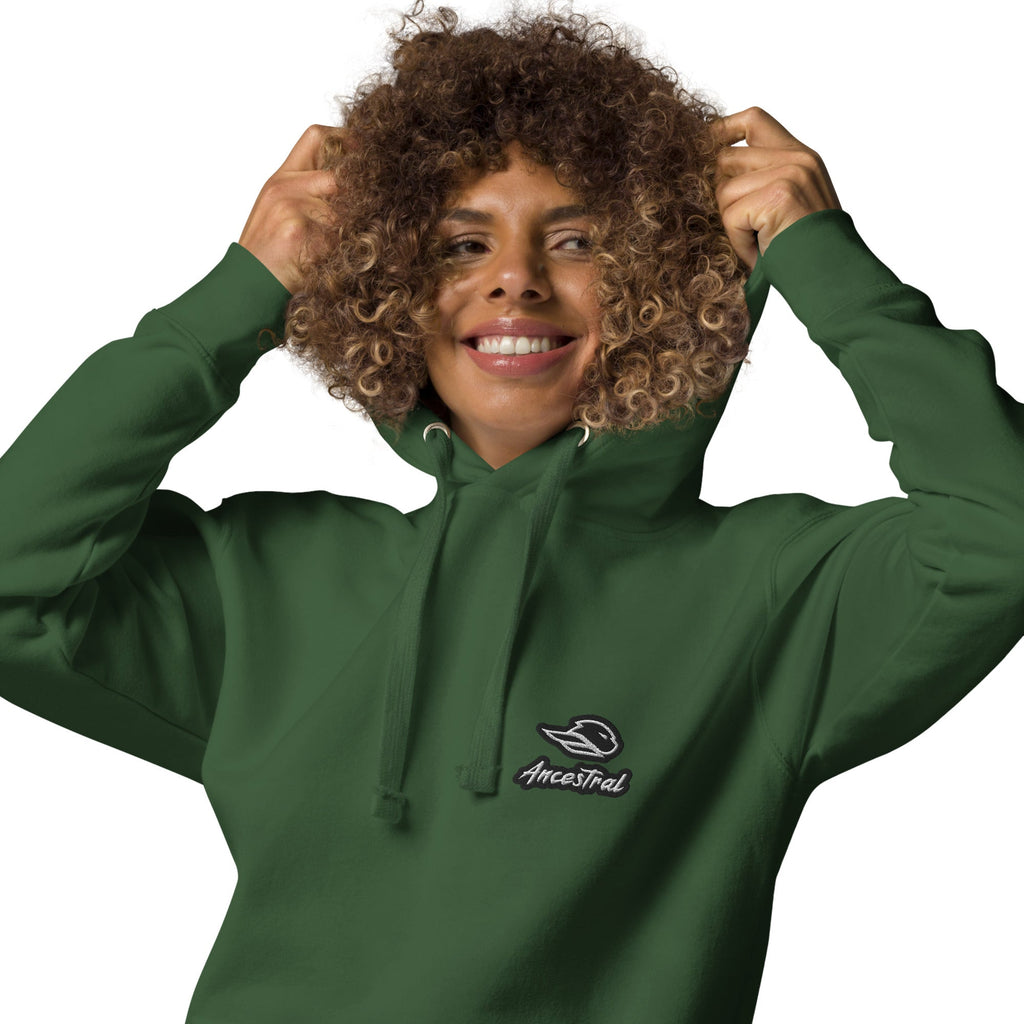 Androide Streetball Premium Unisex Hoodie - Ancestral